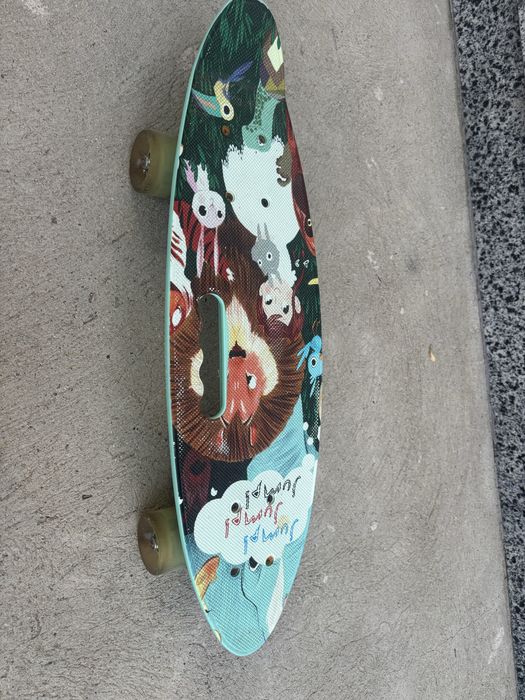 Skateboard /pennyboard