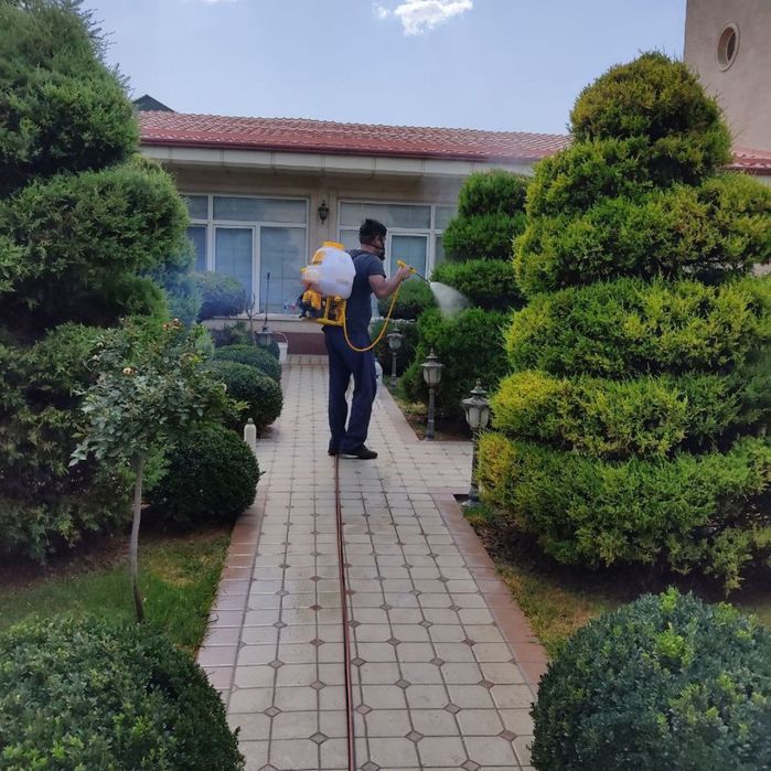 Bogʻbon sadovnik 12 -yillik agranom