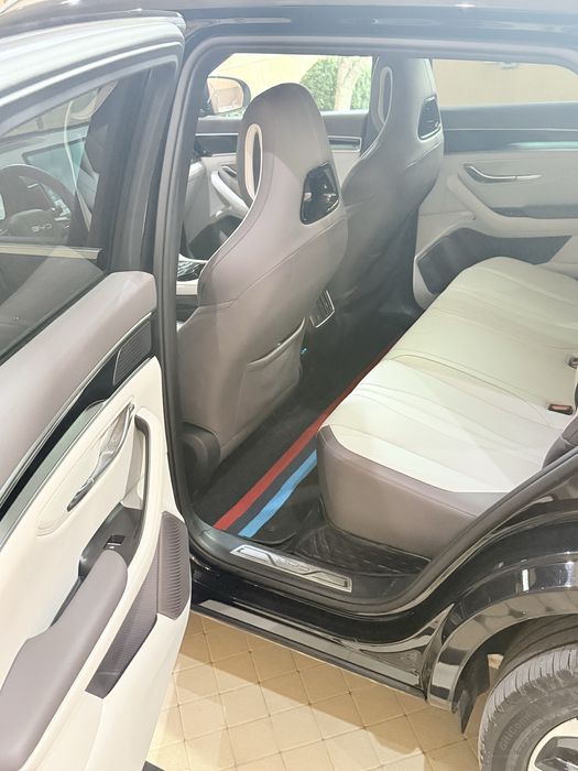 Byd Champion SMART