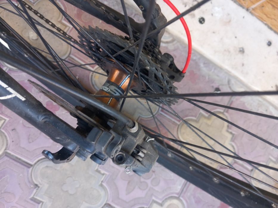 FOCUS 29 цола. .