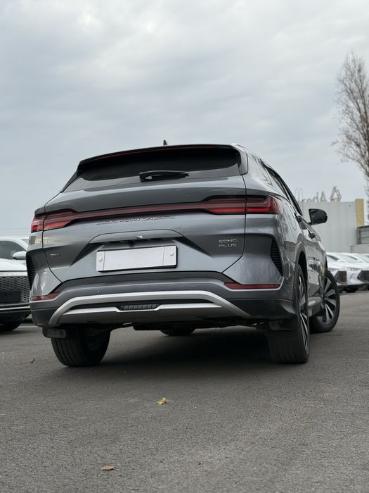 Chempion 2024 gibrit