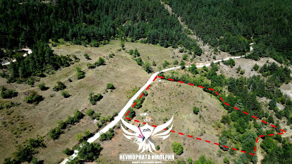 Продава се Парцел в с. Борово, Област Пловдив - 8188 кв.м за 10 €/кв.м - Снимка #6