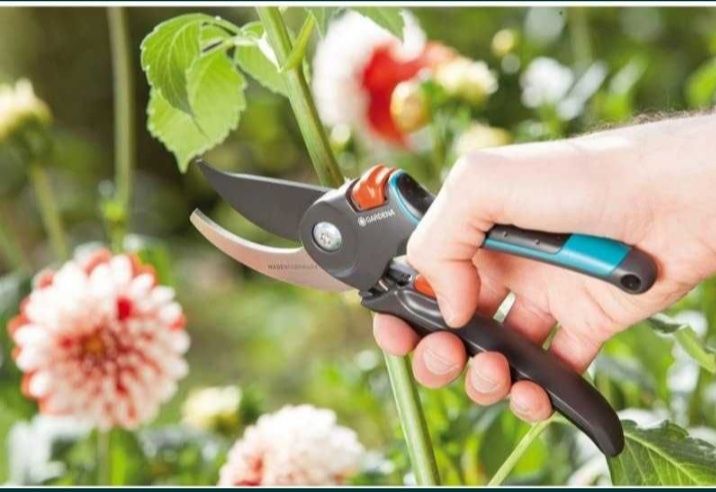 Садовник .Bog'bon xizmati