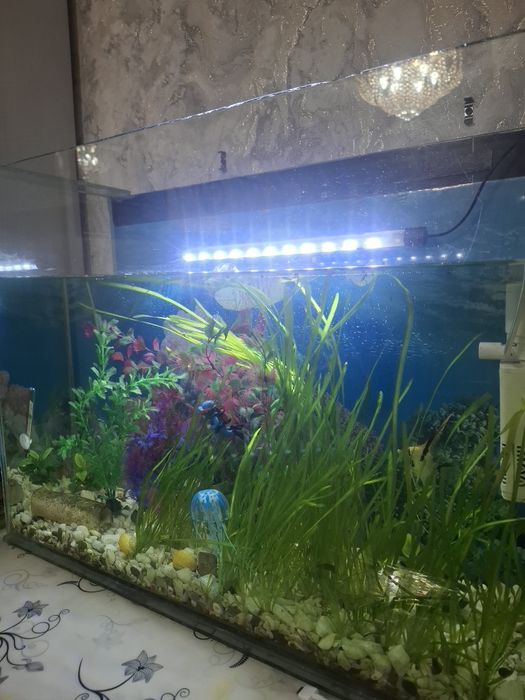 Продам аквариум на 25 л