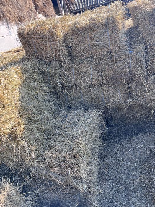 Vand  baloti de fân