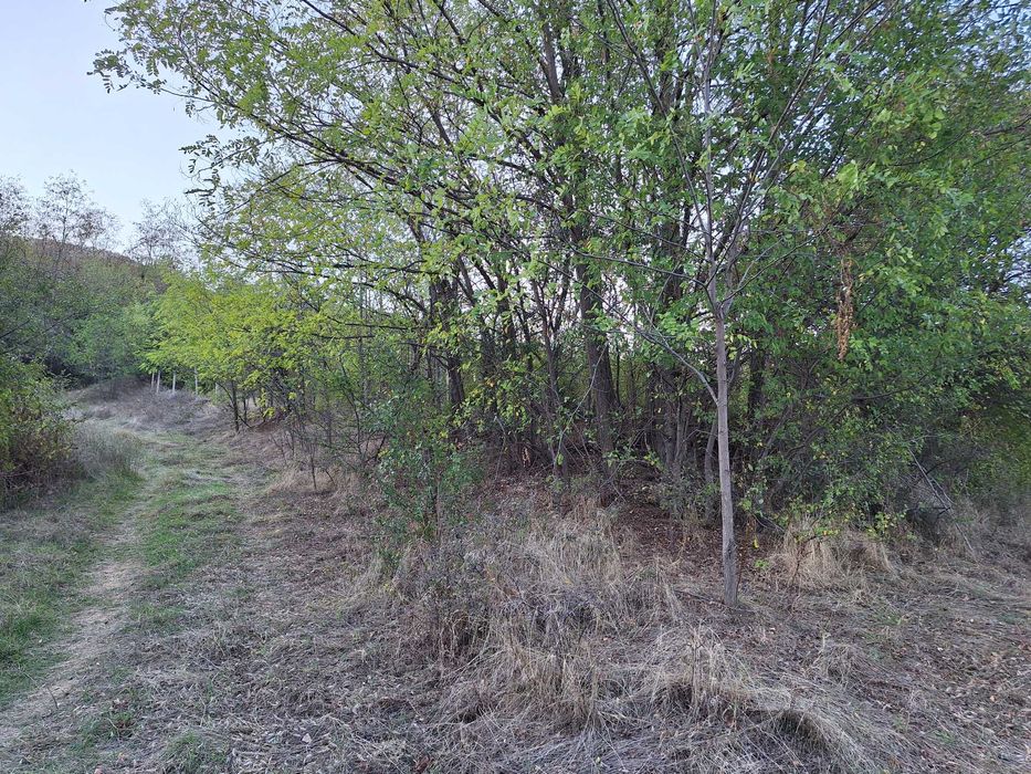 Продава се Парцел в с. Горнослав, Област Пловдив - 5849 кв.м за 2 €/кв.м - Снимка #3