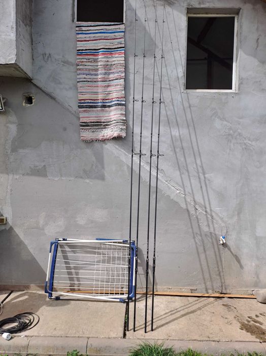 Bete pescuit Crap noi