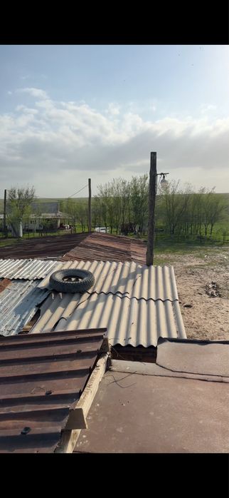 Фазенда, қора сатылады