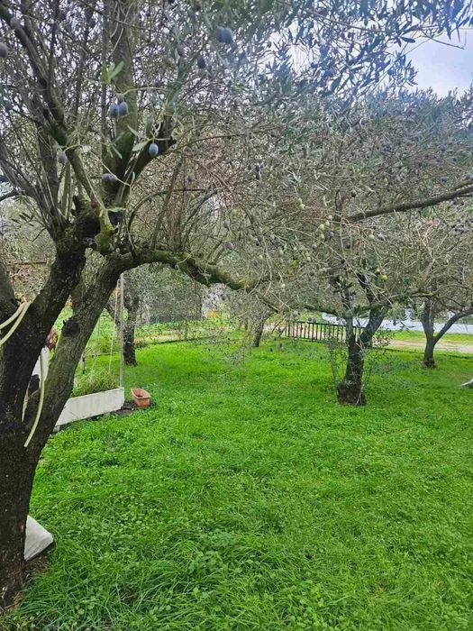 Парцел в централната част на Аспровалта!