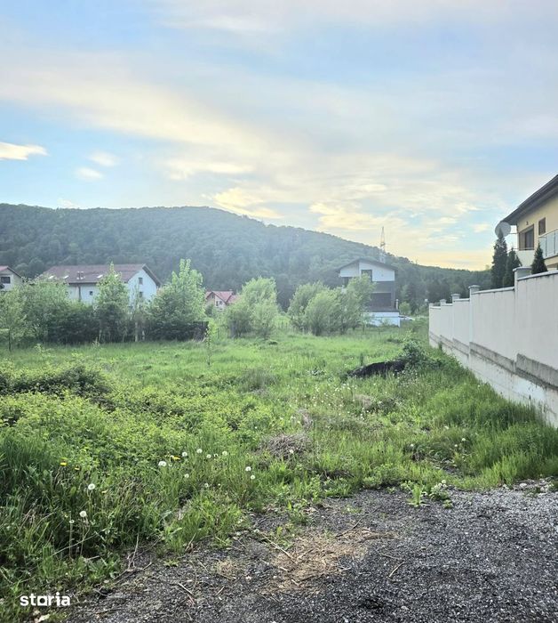 Teren intravilan intre case în Bunloc, lângă pădure – 604 mp