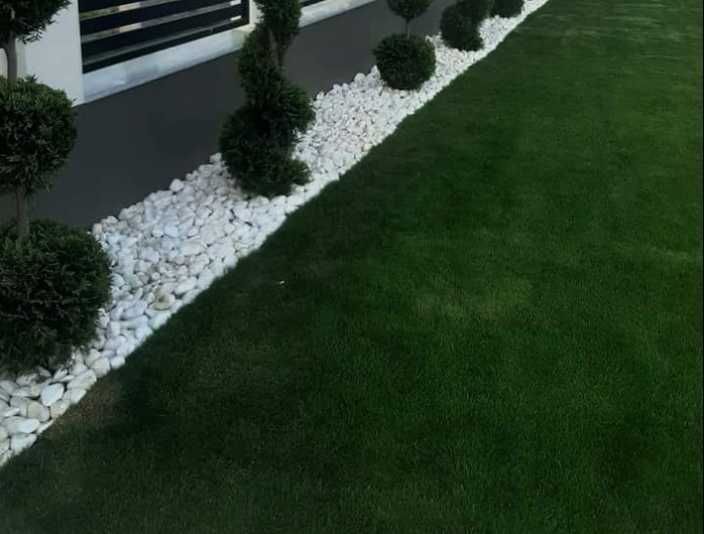 Gazon Verde Dens pentru Amenajări Premium
