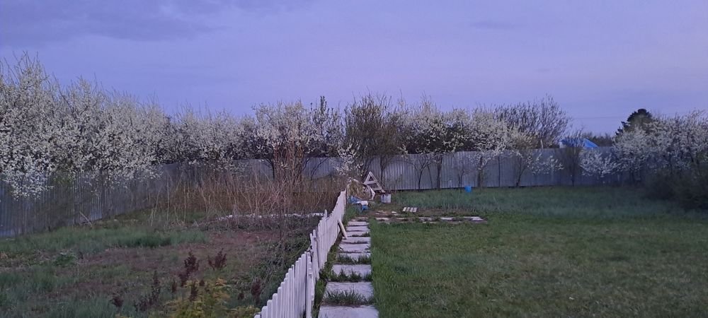 Продам дачу в районе Акжар ск олимпиец 1