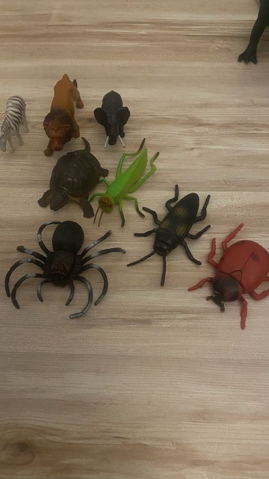 Жуки пауки игрушки