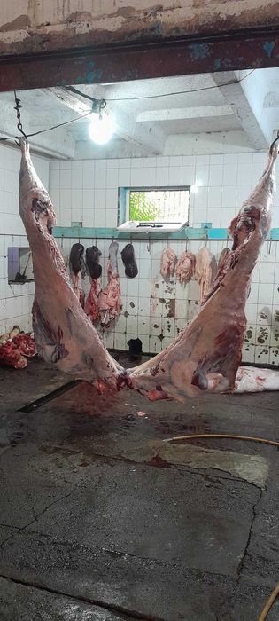 Qassob xizmati bo'stonliq