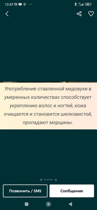 Мёд. Ферментированный Ме́довуха