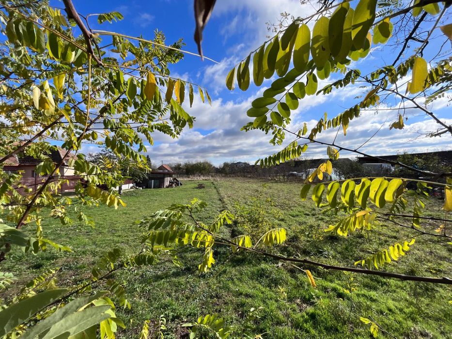 Teren intravilan de vanzare - Ianova, vatra satului