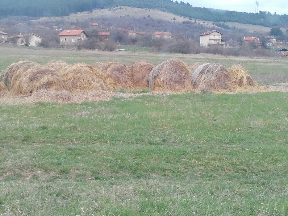 Ролонни бали сено и слама