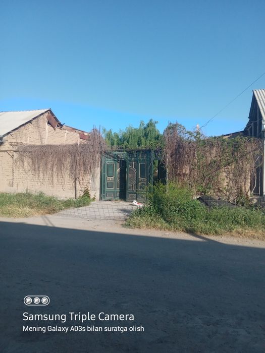 Jizzax Sh.Rashidov tuman. Uch tepa daxasi Yangi hayot maxallasi