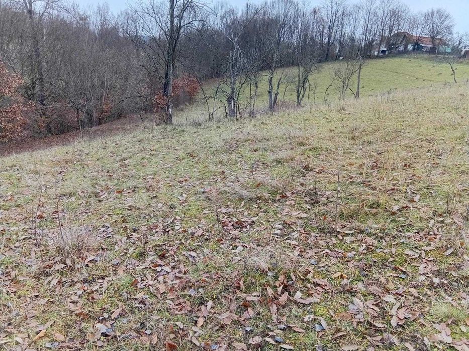 Teren Extravilan 10528mp Luncoiu de Sus, Acces Auto, Sursa Apa, Curent