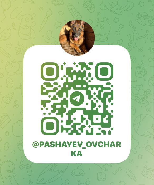 Немецкая овчарка (бронь щенки)