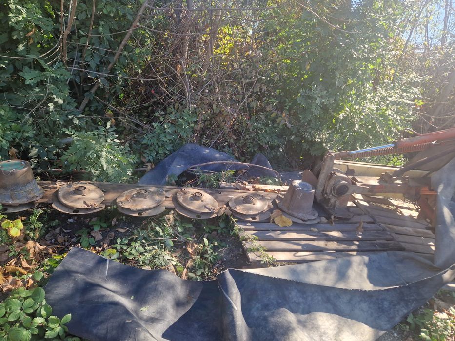 Vaci baltata românească