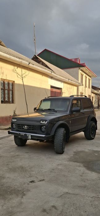 Niva bronto 2019