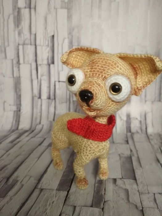 крошка маленький чихуахуа