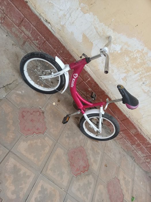 Velik bor yosh bolalarga