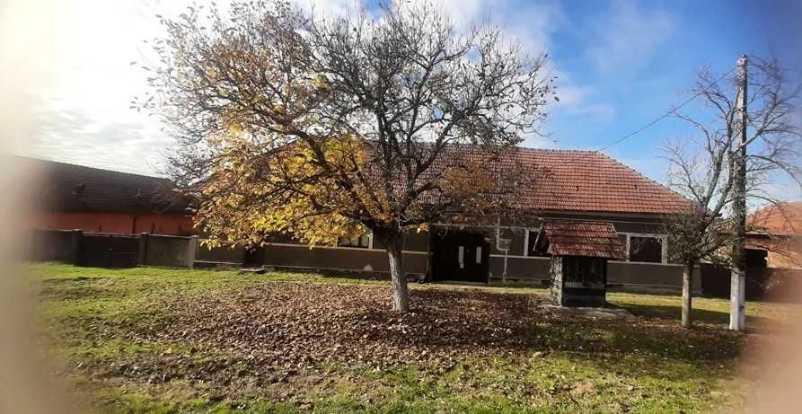 Casa si gradina intabulata, 2877m2 de vânzare la Crocna, jud. Arad