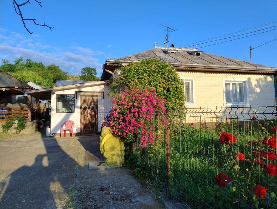 Casa de vânzare în Deleni, Iasi