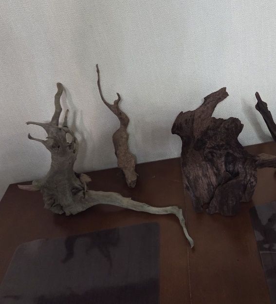 Коряги Мангровая 1шт. и Азалия 2шт.