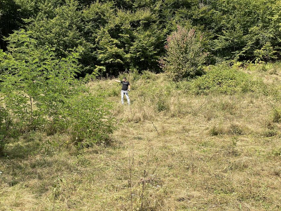 Teren extravilan in com Buces -jud Hunedoara 3648 mCF