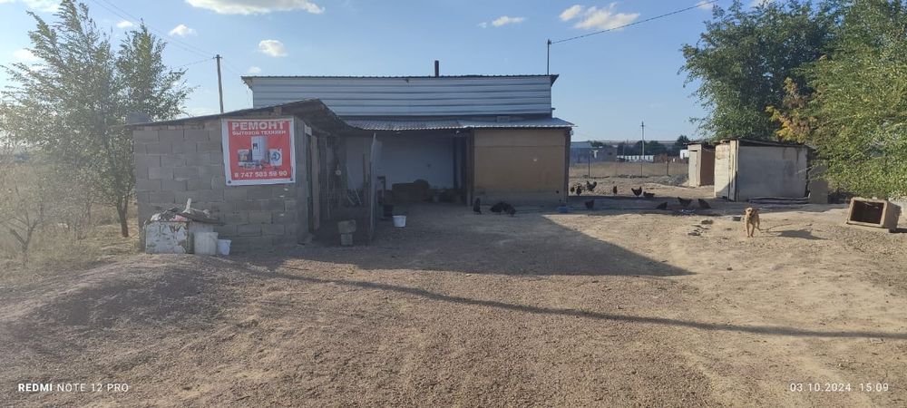 Продам дом-дачу напротив Заречного