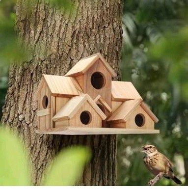 Căsuțe pentru pasarele