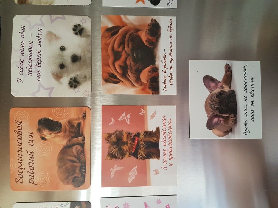 Магниты на холодильник