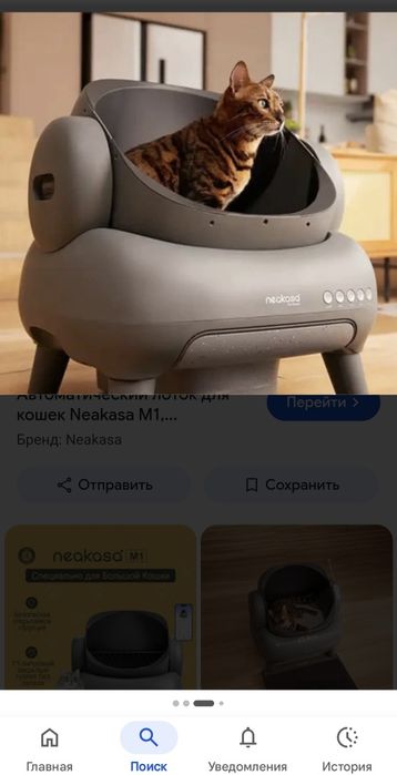 Туалет для кошек.