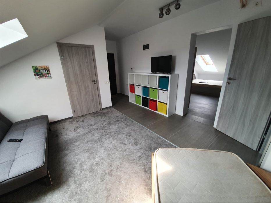 Apartament o camera de inchiriat in Dumbravita mansarda