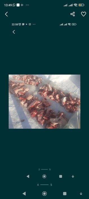 Продам говядину телочки жирные