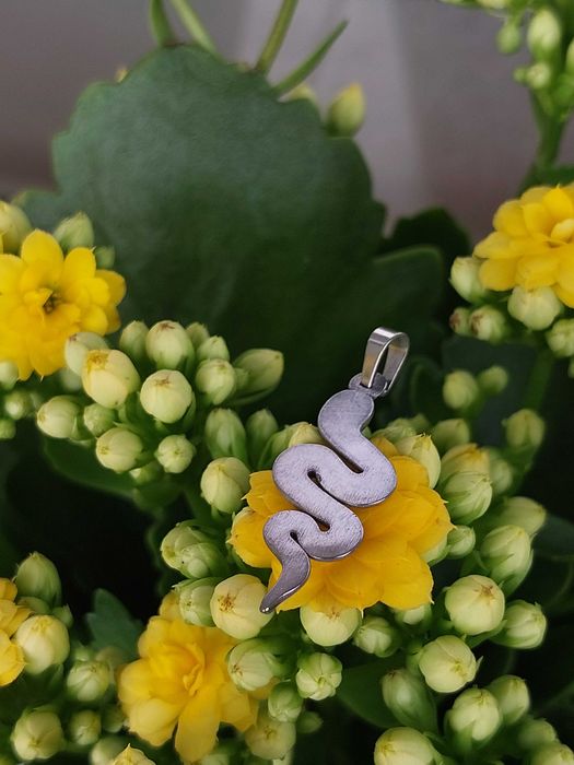 Самостоятелен сребърен медальон - змия. 15 лв