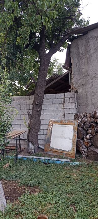 Дрова отын урюк орех