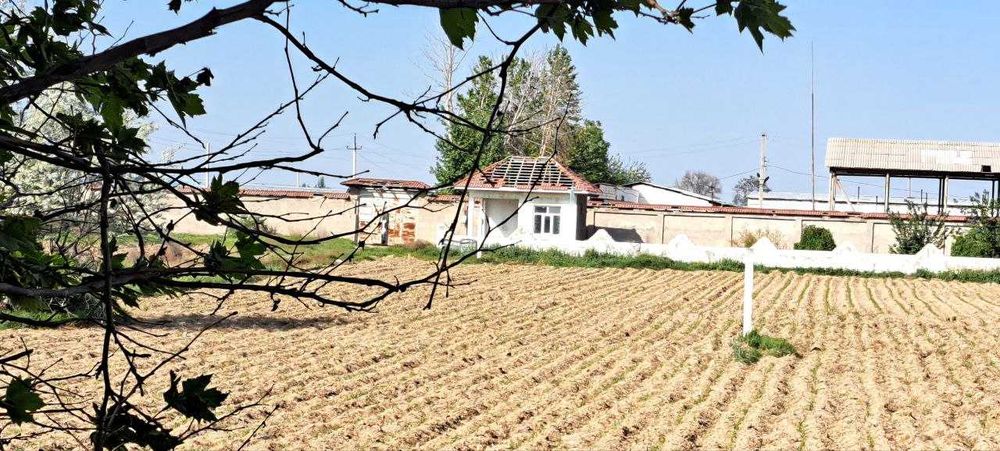 Продам 2.00га в г Чиназ (таш область). От Ташкента-50км. Промзона.