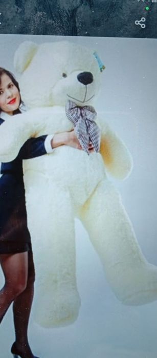 Тэдди с клиентом