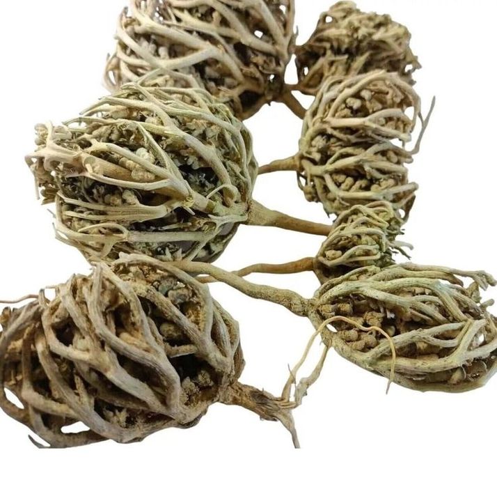 Каф Марьям алматы