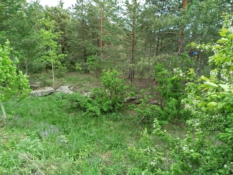 Участок в Голубом заливе. Бухтарма