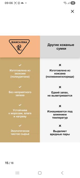 Сумка женская Bianca Rina