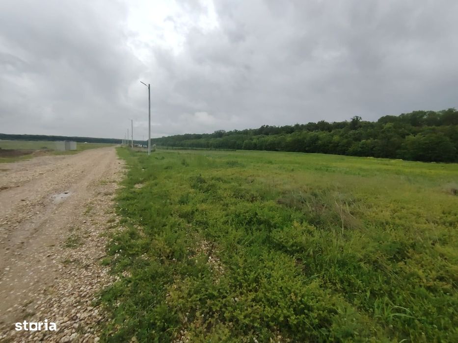 Teren intravilan - 860 mp - Deschidere 20 mp - Eforest - Crevedia