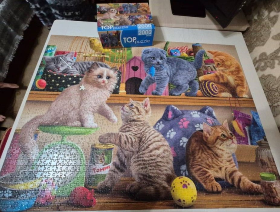 пазл с котятами 2000 деталей