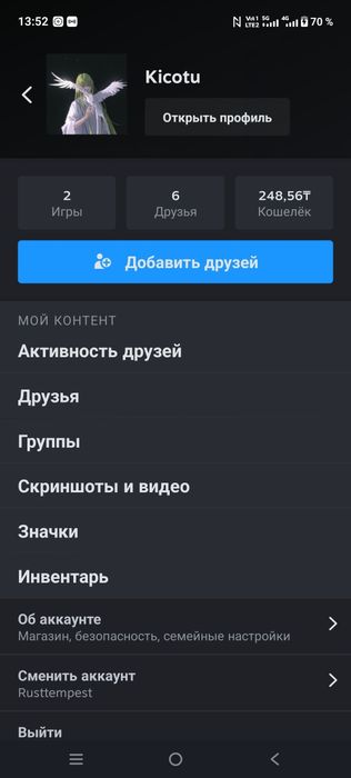 Стим акк раст 100часов