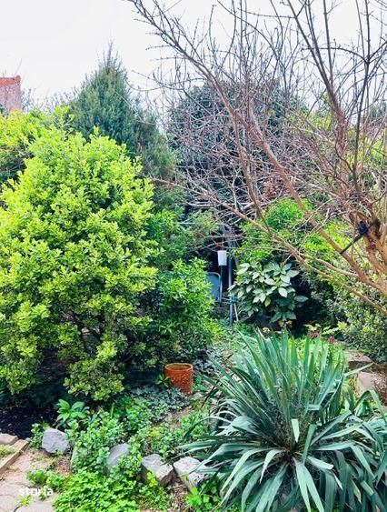 Apartament 4 camere, 2 bai, Balcescu