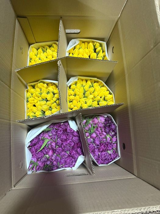 Премиальные Тюльпаны Астана